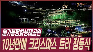 [통통현장] 애기봉평화생태공원, 10년만에 크리스마스 트리 점등식/김포시(GimpoCity)