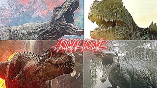 Rexy/Spinosaurus/Giga/Indominus Tribute //Animal in Me// Credit:Solence