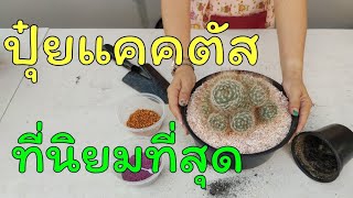 แนะนำปุ๋ยที่นิยมใส่แคคตัสที่สุด? ใช้ยังไงให้ได้ผลดี? [How to Fertilize Cactus?]