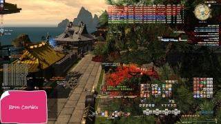 FF14 絶バハムート討滅戦攻略 day14 近接視点 群竜の八重奏