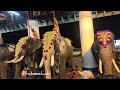 കൂടൽമാണിക്യം അഞ്ചാം ഉത്സവം 🐘🐘🐘