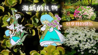 海蒂的花园14周年庆！海妈的礼物开箱！分享我的快乐！