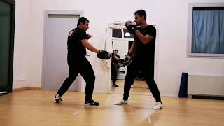 Defense from Roundhouse Kick in JKD