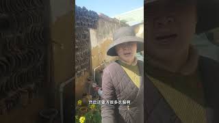 小院里种上两盆菜，温暖寒冷的冬日#我的乡村生活 #自家菜园的新鲜蔬菜 #山居生活