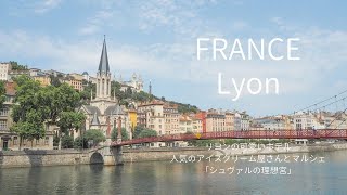 Lyon trip / Palais Idéal du facteur Cheval / Glacier Terre Adélice / Hotel Vaubecour / France vlog