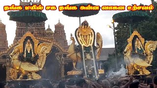 தங்க மயில் சக தங்க அன்ன வாகன உற்சவம் | Nallur Kandaswamy Temple | Jaffna | Tamil | ST Suman