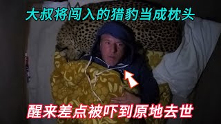 大叔在睡梦中将入侵的猎豹当成了抱枕，醒来后被吓到神志不清