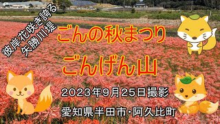 彼岸花咲き誇る半田市のごんの秋まつりに行ってきました　ナオユミのハイキングに行こう