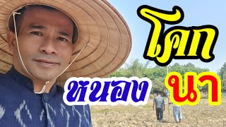 โคกหนองนาอุดรธานี  ปีงบประมาณ2566 (บ้านสวนยายเสาร์) Ep.1