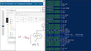 Linux Essentials - Lab 7: Navigating the Filesystem