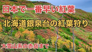 北海道90日間の車中泊の旅［66日目］大雪山の銀泉台 紅葉真っ盛り🍁