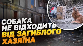 ДО СЛІЗ! 💔 Собака НІ НА КРОК НЕ ВІДХОДИТЬ від тіла ЗАГИБЛОГО ГОСПОДАРЯ - НАЖИВО із Запоріжжя