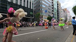 【5.3K】神戸祭り2023　神戸サンバチーム