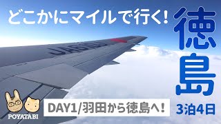 【徳島 🇯🇵 旅行】JALのどこかにマイルで徳島に行ってきた！【ぽや旅】Haneda - Tokushima #Travel #Vlog