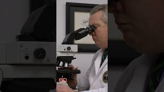The ongoing effort to identify 9/11 remains #shorts