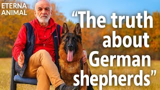 German Shepherd Secrets Only Lifelong Owners Know