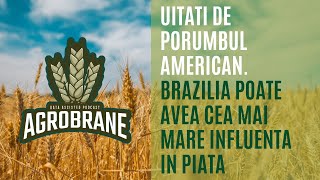 Uitati de porumbul american. Brazilia poate avea cea mai mare influenta in piata