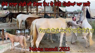 Nabha Mandi 2023 ਦੇਖੋ ਨਾਭਾ ਮੰਡੀ ਦੀ ਰੌਣਕ ਟੋਪ ਦੇ ਘੋੜੇ ਘੋੜੀਆਂ ਆ ਗਏ #beanttulewal #Nabhamandi2023