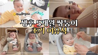 [육아vlog]5개월 쌍둥이 일상👶ㅣ초기 이유식 시작ㅣ시판이유식 준비물 ㅣ둥이 엄빠도 데이트 가능😛