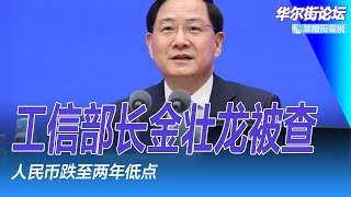 金壮龙被查：牵涉大批军工、上海官员！习近平要用AI指挥军队，但将军们有些害怕；美国担心中国改击关岛；人民币跌至两年低点｜华尔街论坛周日版（20250105）