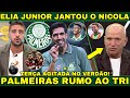 ELIA JUNIOR SE RENDEU AO VERDÃO!! 