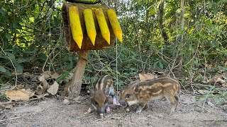 Creative Unique Wild Pig Trap Using Big Wood #shortvideo#WildboarTrapping