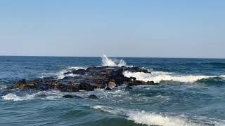 Belmar: A Great Place To Visit