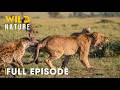 Hostile Planet (FULL EPISODE) | Battle for Survival in Predator Territory | Animal documentary