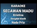 SECAWAN MADU - Kristina | Karaoke nada pria | Lirik