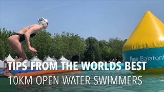 Top tips for open water swim racing from the worlds best 10km ELITE MARATHON SWIMMERS