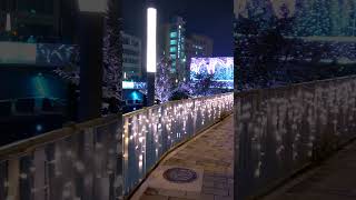 柳川聖誕節 2021 in 藍帶水岸🎄 WALK \u0026 TOUR - Part.2 | 「台中好甜！甜在其中」｜「有你珍好」 #Shorts