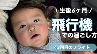 【生後6ヶ月】ワンオペ空の旅✈️機内での過ごし方｜耳抜きのやり方