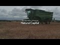 Nature’s assets: ‘natural capital’ explained