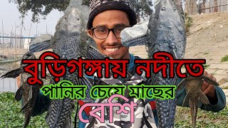 বুড়িগঙ্গা নদীতে  পানির চেয়ে মাছের পরিমান বেশি ||  Burigongga Rivers Big Fish  || #fishing #trending