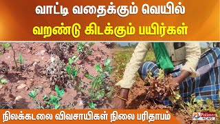 வாட்டி வதைக்கும் வெயில்.. வறண்டு கிடக்கும் பயிர்கள்.. நிலக்கடலை விவசாயிகள் நிலை பரிதாபம்..