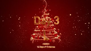 DAY 3 | Addicks 12 Days of Christmas