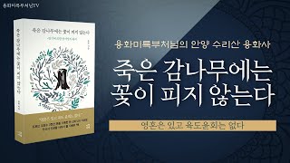 죽은 감나무에는 꽃이 피지 않는다 (12연기와 육도윤회가 부서지는 진리의 말씀)용화 지음