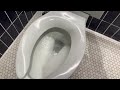 s8 e9 kohler tresham toilet