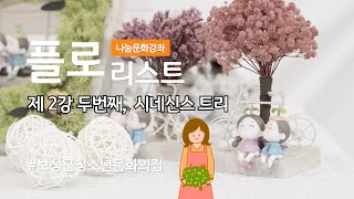 [4k] 플로리스트 - 제 2강 두번째, 시네신스 트리 - 보성군청소년문화의집