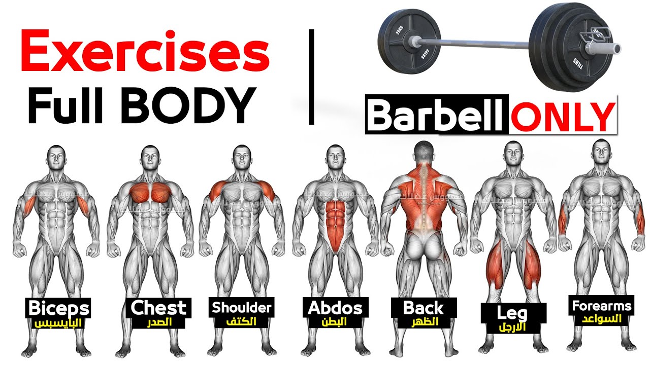 Upper Body Barbell Complex Workout At Carisa Macaulay Blog