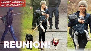 WELCOME HOME PRINCE HARRY! Smiling Meghan Markle takes Baby Archie and dogs for a walk in the woods