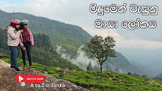 🌿✨ Lipton’s Seat, Sri Lanka | Breathtaking Views \u0026 Tea Estate Experience ☕🏞️ ලිප්ටන් සීට්