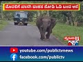 ಸಫಾರಿ ವಾಹನದ ಮೇಲೆ ದಾಳಿಗೆ ಯತ್ನ ... mysuru public tv