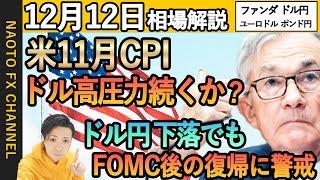 【FX相場解説/12月12日】ドル円、ユーロドル、ポンド円環境認識｜米11月CPIとドル円分岐