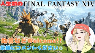 【人生初FF】FINAL FANTASY XIV【冒険の時間ですよ】10日目