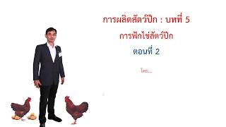 การผลิตสัตว์ปีก : การฟักไข่สัตว์ปีก ตอนที่ 2