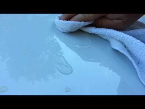 How to get tree sap off car, easy way remove tree sap. How to get tree sap off car, easy way remove tree sap.