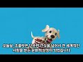 초콜릿의 역사 고대 의식에서 현대의 사치품까지 shorts