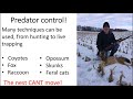 pheasant habitat and propagating presentation