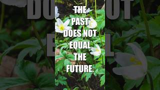 The Past Does Not Equal The Future ⏰🙂 #quotes #live #life